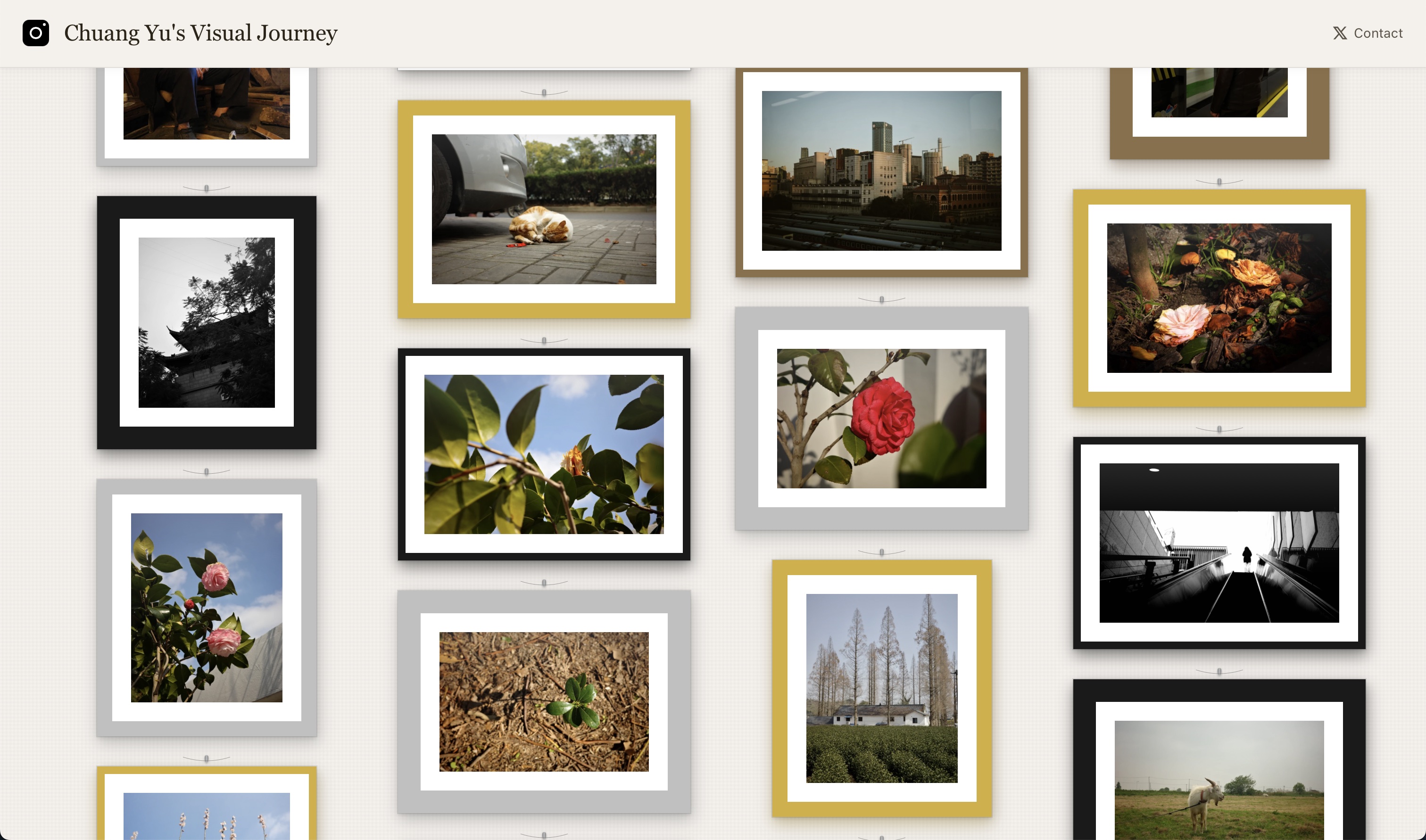 Gallery Wall